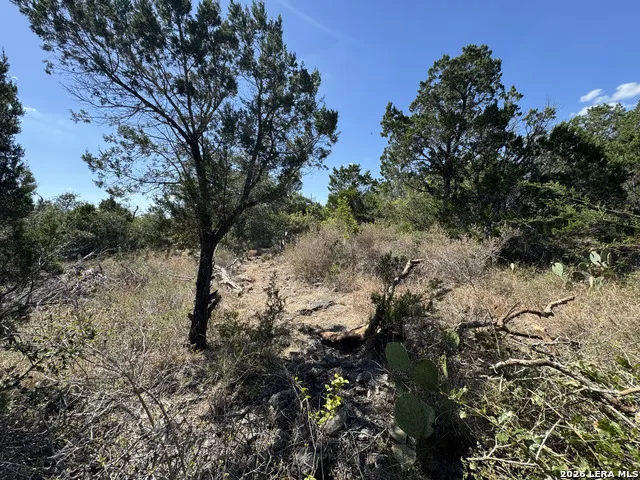 1423 County Road 2744 Mico, TX 78056