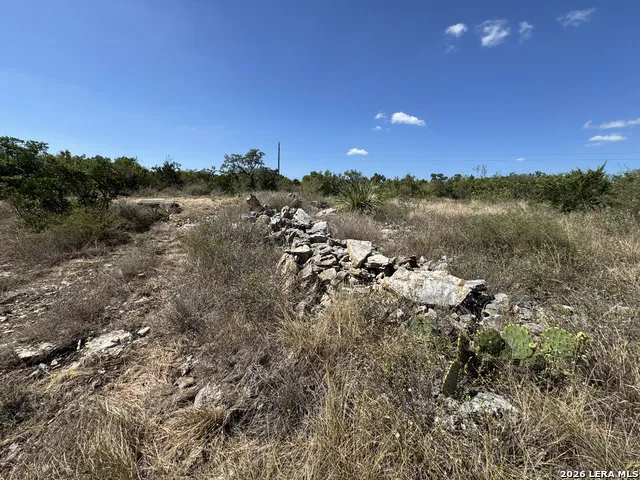 1423 County Road 2744 Mico, TX 78056