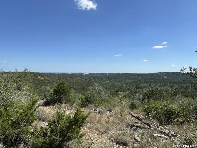 1423 County Road 2744 Mico, TX 78056
