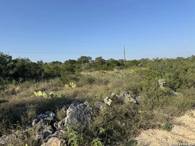 1423 County Road 2744 Mico, TX 78056