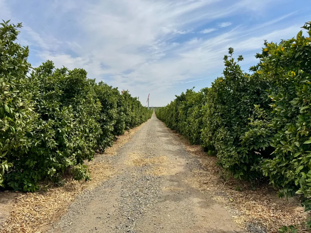 72 Avenue Ducor, CA 93270
