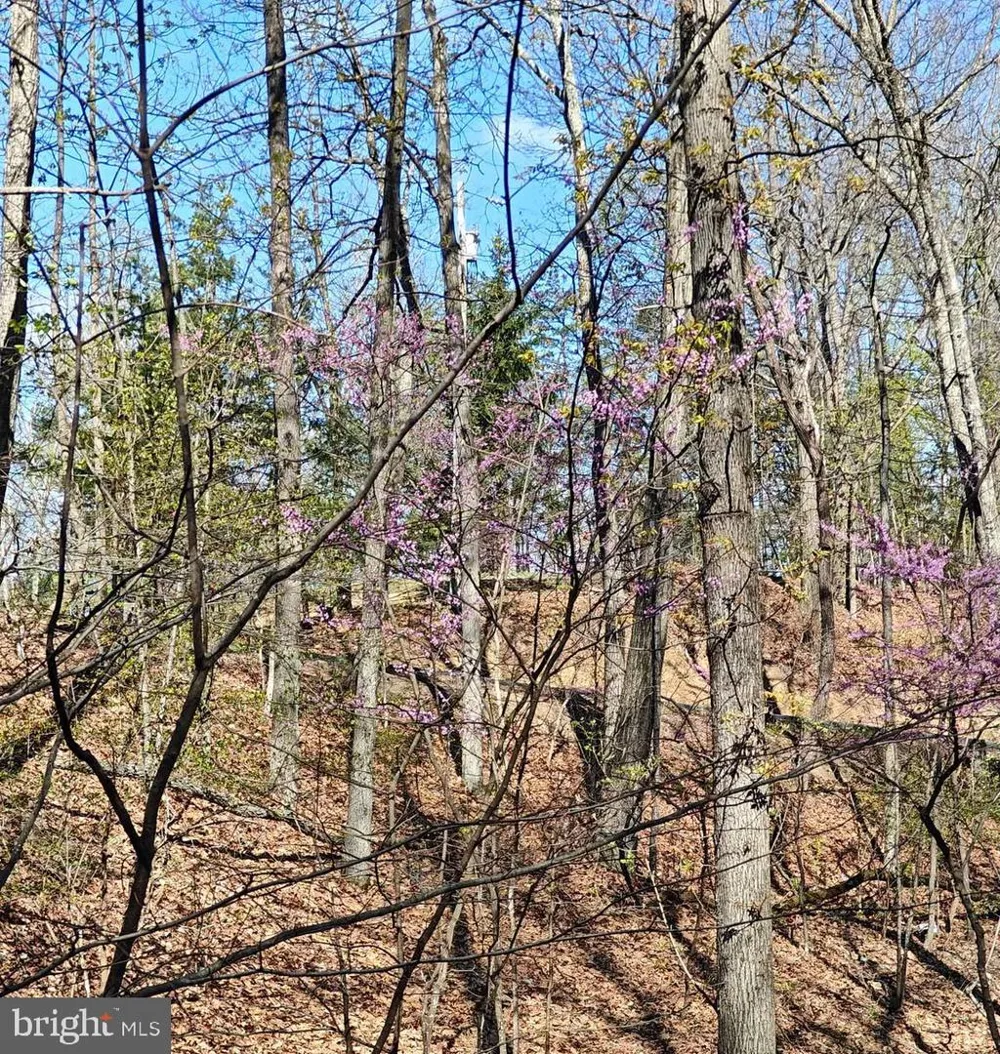 36 SNAKE LANE Hedgesville, WV 25427