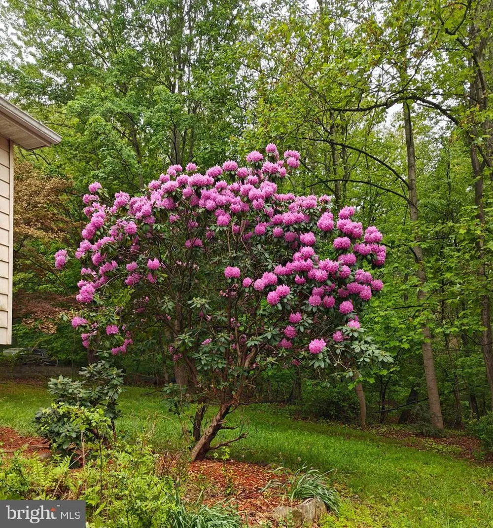 36 SNAKE LANE Hedgesville, WV 25427