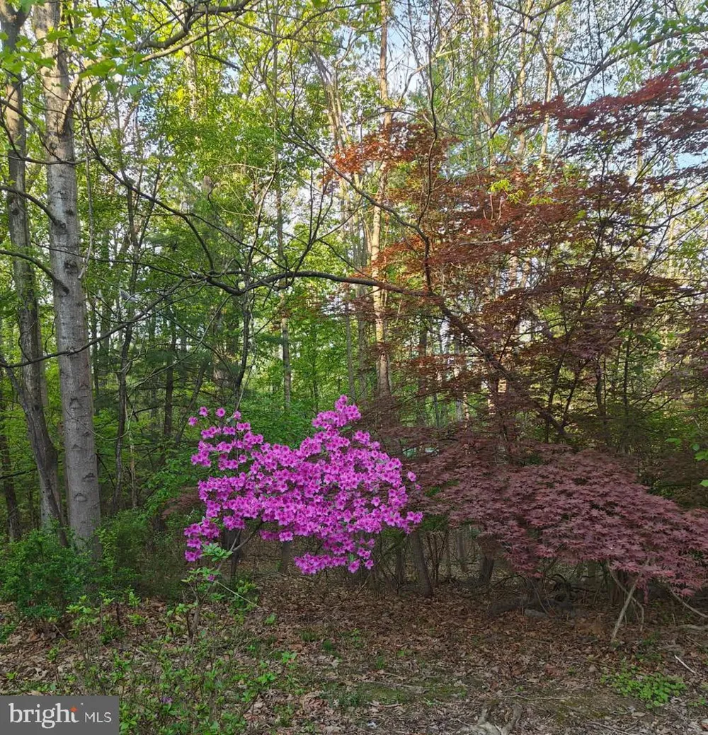 36 SNAKE LANE Hedgesville, WV 25427