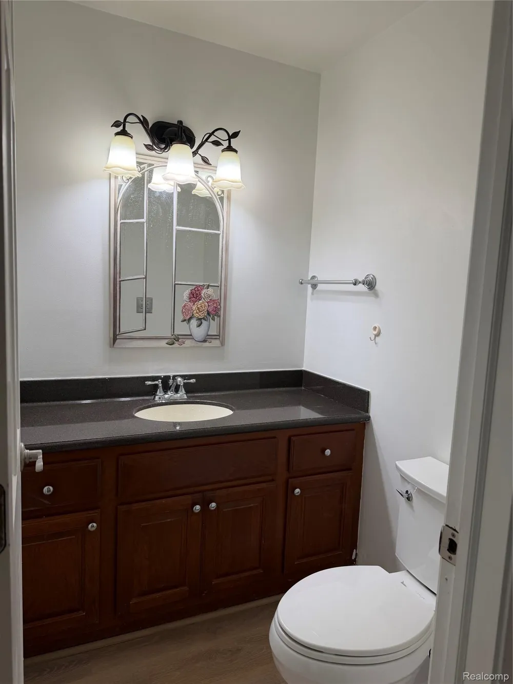 1594 Arbor Creek Drive Rochester Hills City, MI 48306