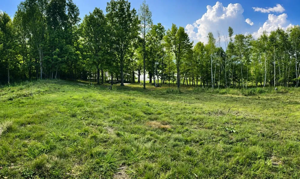 110 90th Avenue Clayton, WI 54004