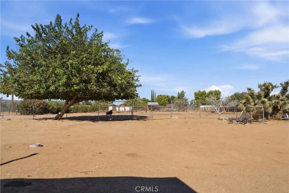 43107 43rd W Lancaster, CA 93536