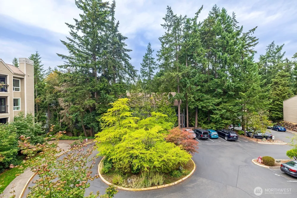 823 161st Place #302 Seattle, WA 98133