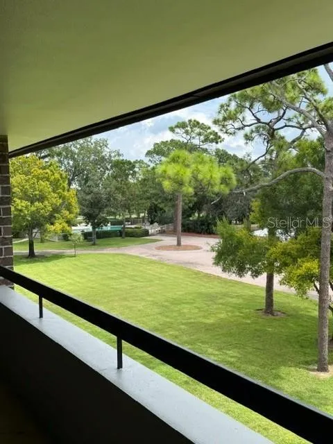 36750 US HIGHWAY 19 #15305 Palm Harbor, FL 34684