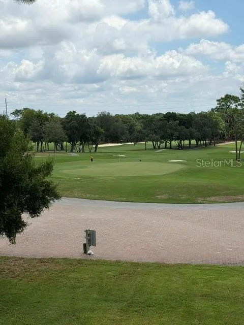 36750 US HIGHWAY 19 #15305 Palm Harbor, FL 34684