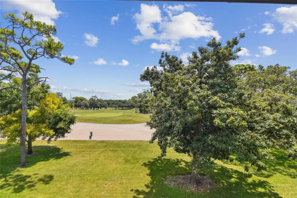 36750 US HIGHWAY 19 #15305 Palm Harbor, FL 34684