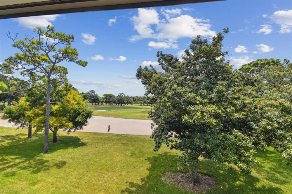 36750 US HIGHWAY 19 #15305 Palm Harbor, FL 34684