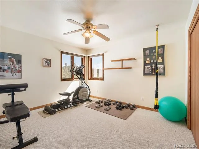 76 Raven Ridge Road Idaho Springs, CO 80452