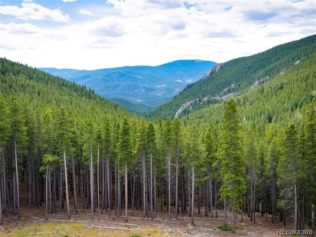 76 Raven Ridge Road Idaho Springs, CO 80452