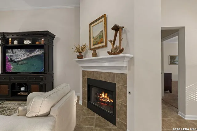 14006 POSSUM TREE RD San Antonio, TX 78232
