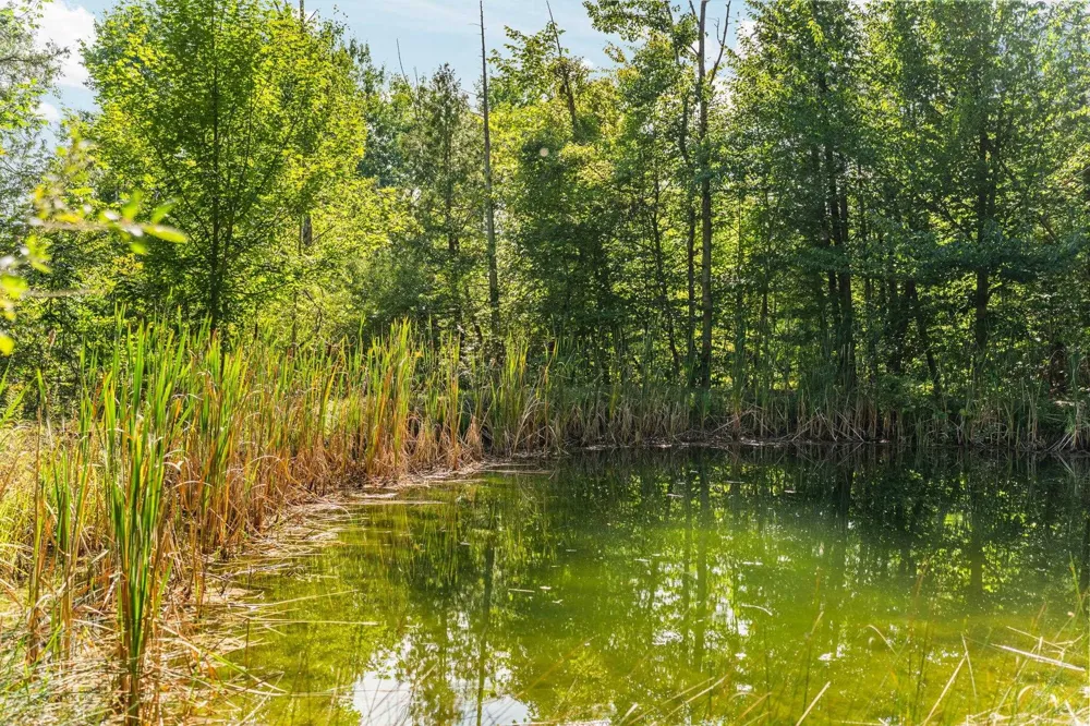 4682 Valley Road Kearney Township, MI 49615