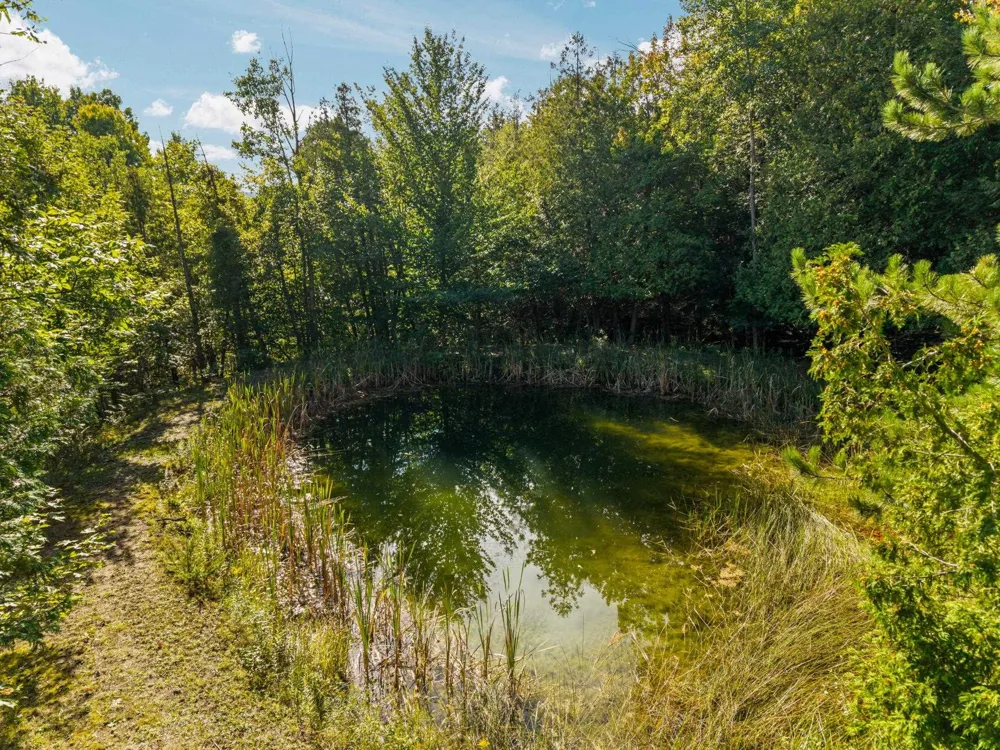 4682 Valley Road Kearney Township, MI 49615