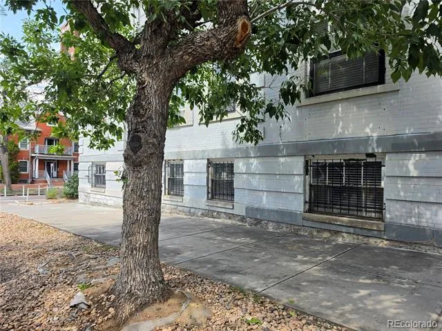 215 E 11th Avenue #D8 Denver, CO 80203