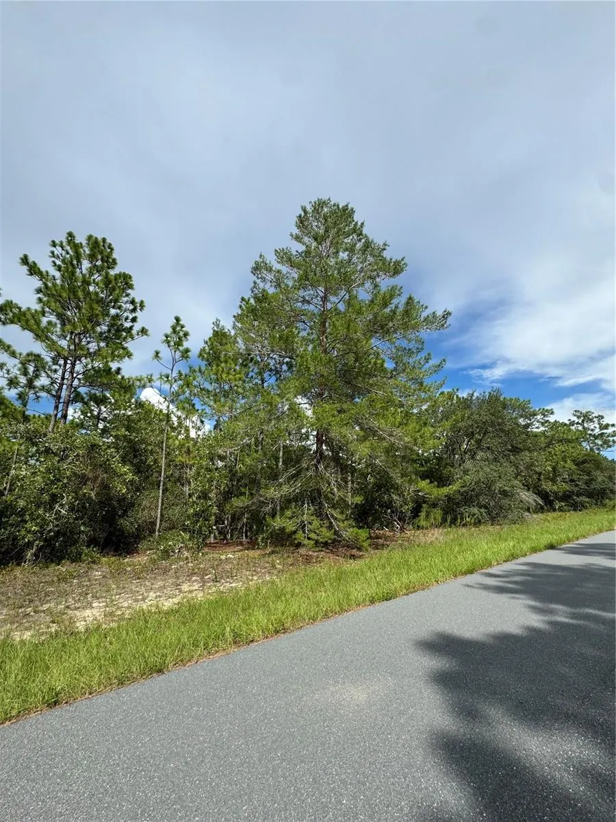 7357 FIRWOOD CIRCLE Citrus Springs, FL 34433