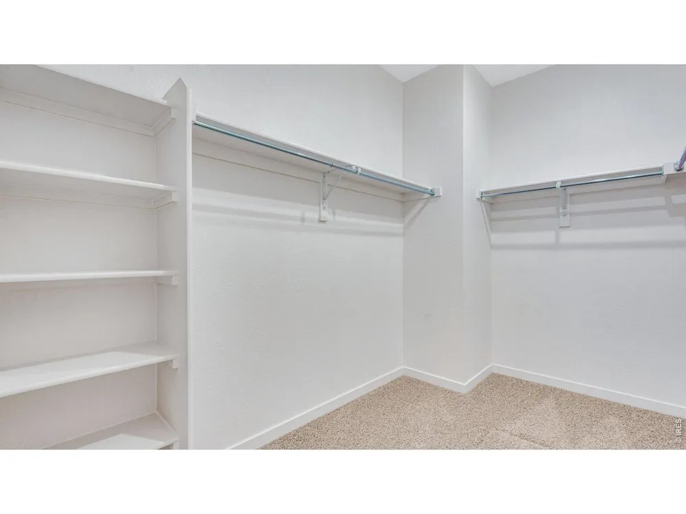 5625 Gelbray Place Windsor, CO 80528