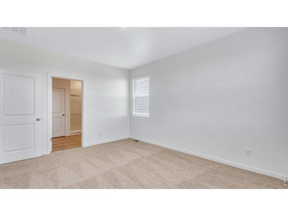 5625 Gelbray Place Windsor, CO 80528
