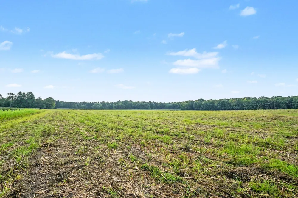 County Road 687 Bangor, MI 49013