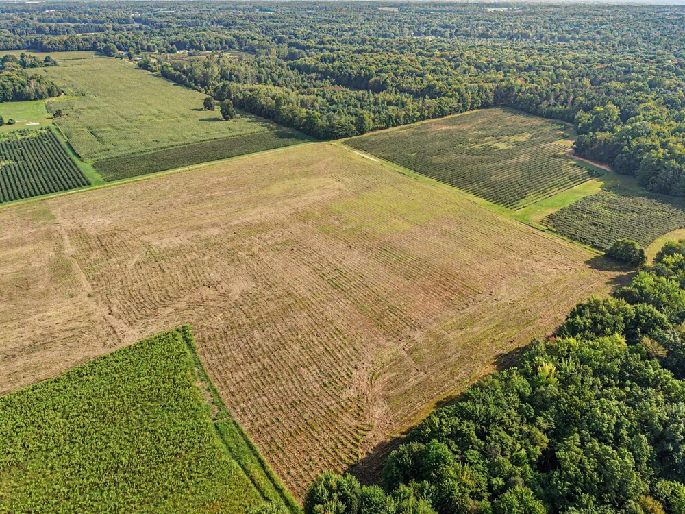 County Road 687 Bangor, MI 49013