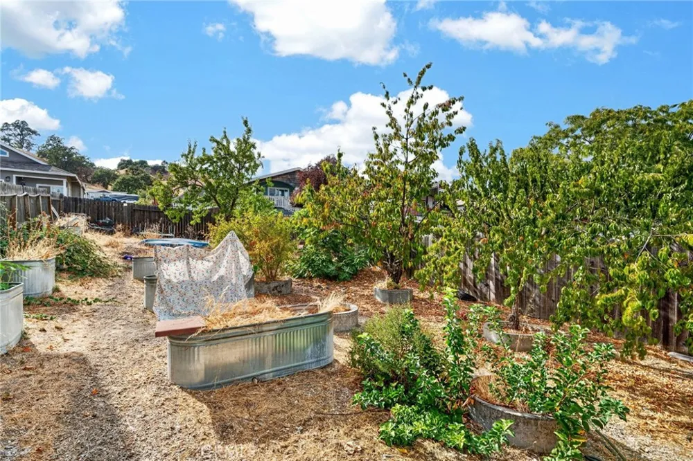 4150 Scott Lakeport, CA 95453