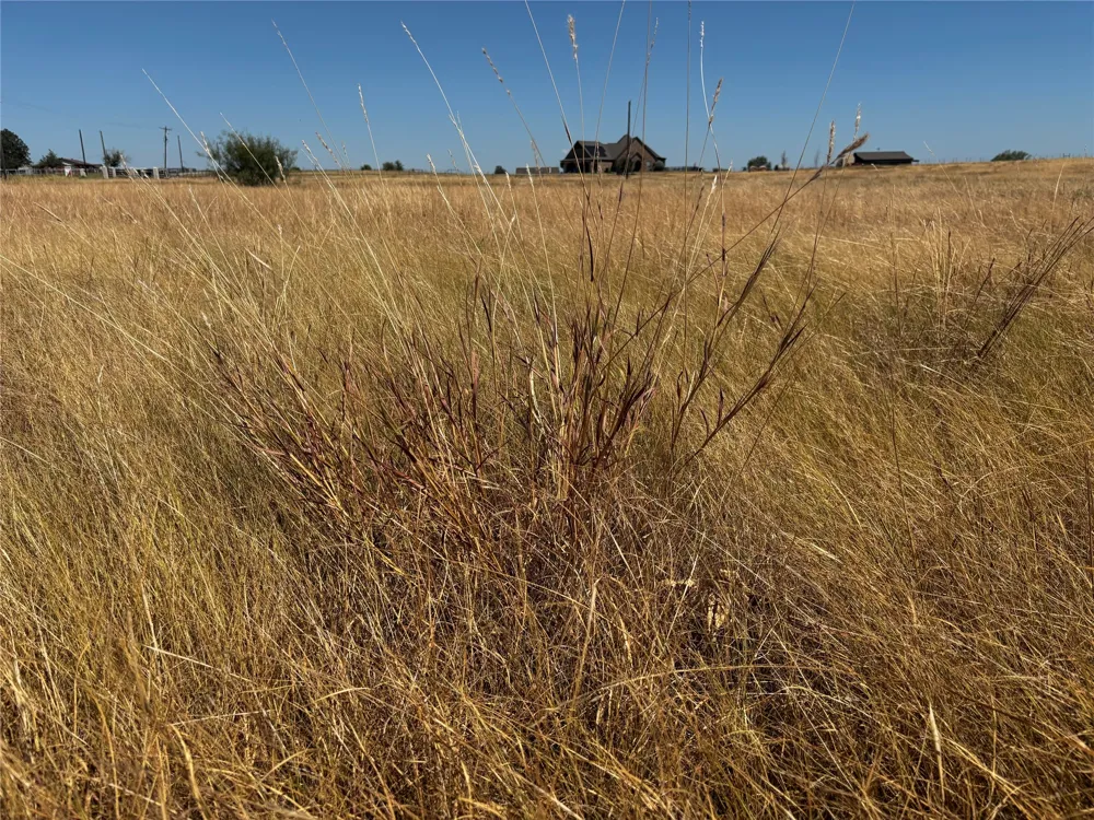 Melton Road Sanger, TX 76266