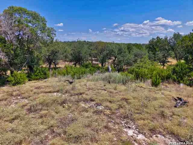 559 Clay Rdg Canyon Lake, TX 78133