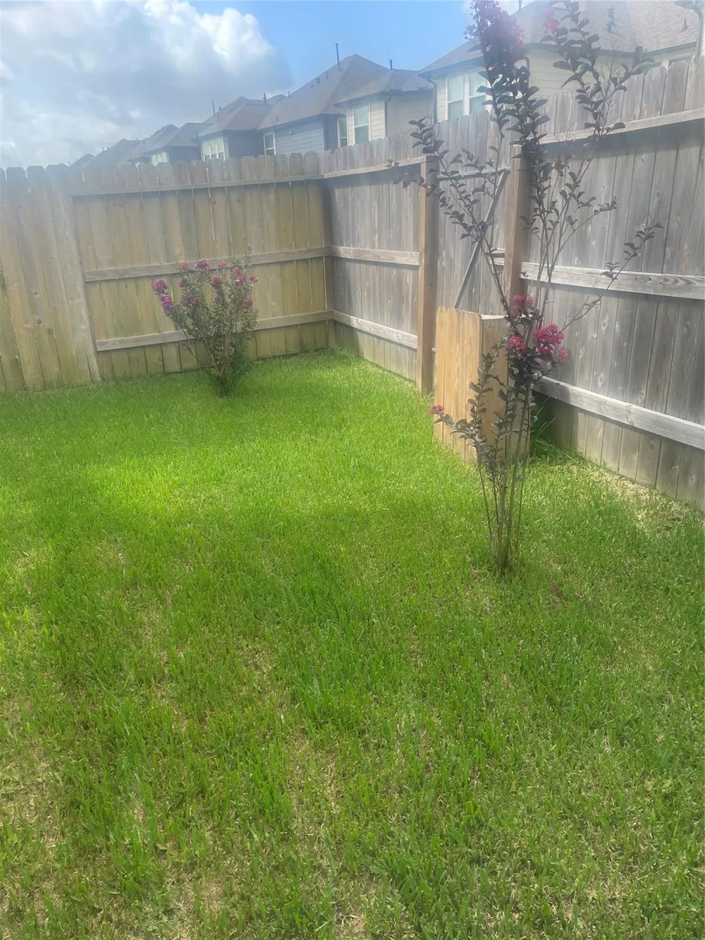 5514 Clarendon Hills Court Pasadena, TX 77505