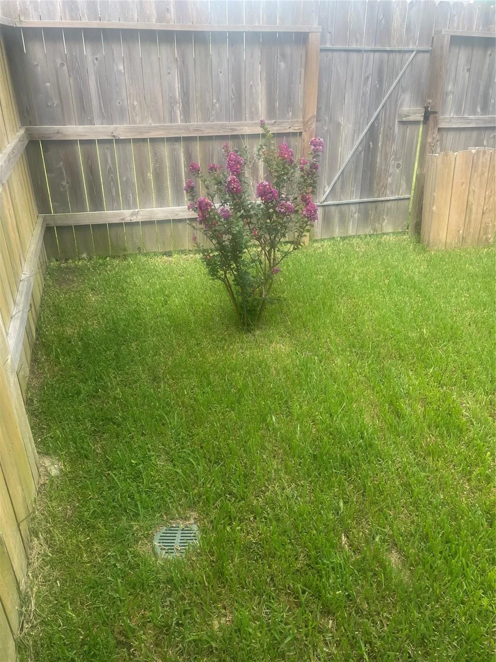 5514 Clarendon Hills Court Pasadena, TX 77505