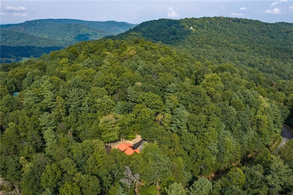 142 Fawn Lane Purlear, NC 28665