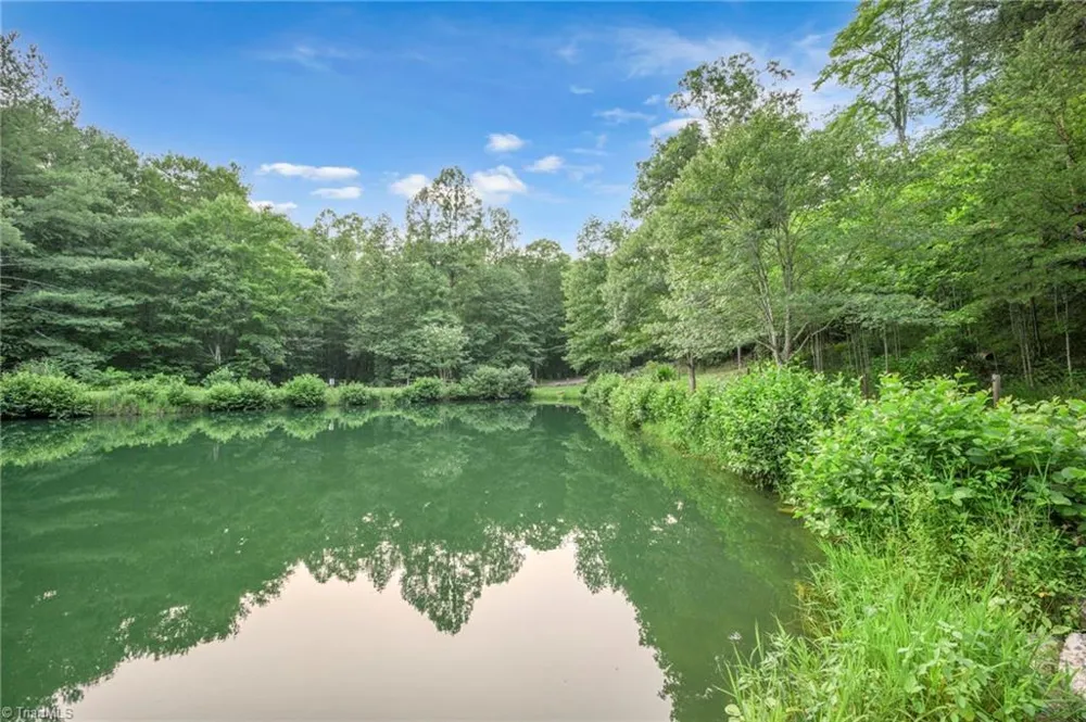 142 Fawn Lane Purlear, NC 28665