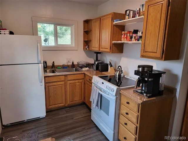 704 Yellow Pine Drive Bailey, CO 80421