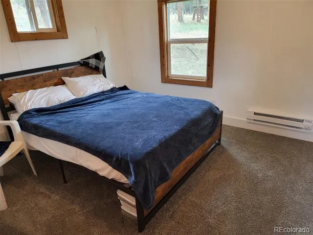 704 Yellow Pine Drive Bailey, CO 80421