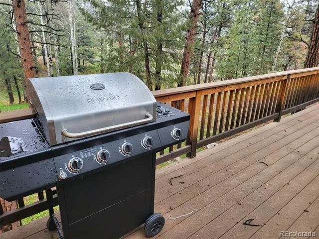 704 Yellow Pine Drive Bailey, CO 80421