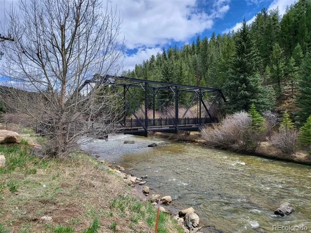704 Yellow Pine Drive Bailey, CO 80421