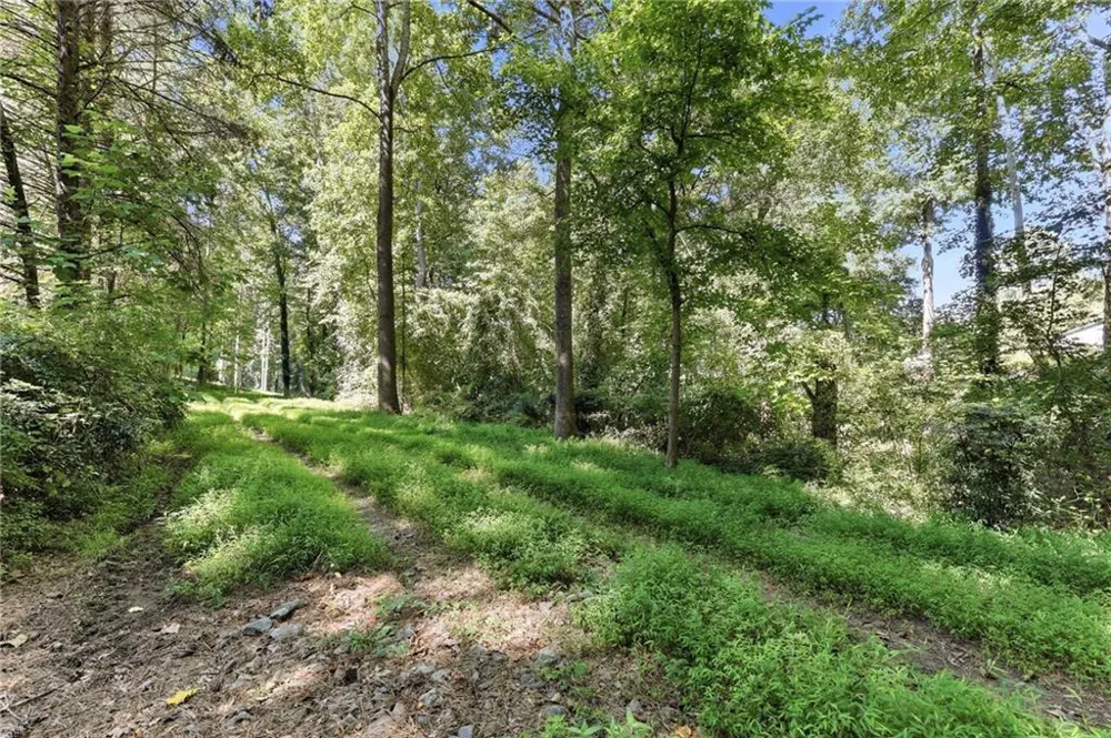 3628 Maple Forge Lane Gainesville, GA 30504