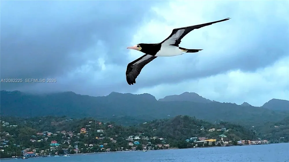 Anse La Roche, Carriacou 