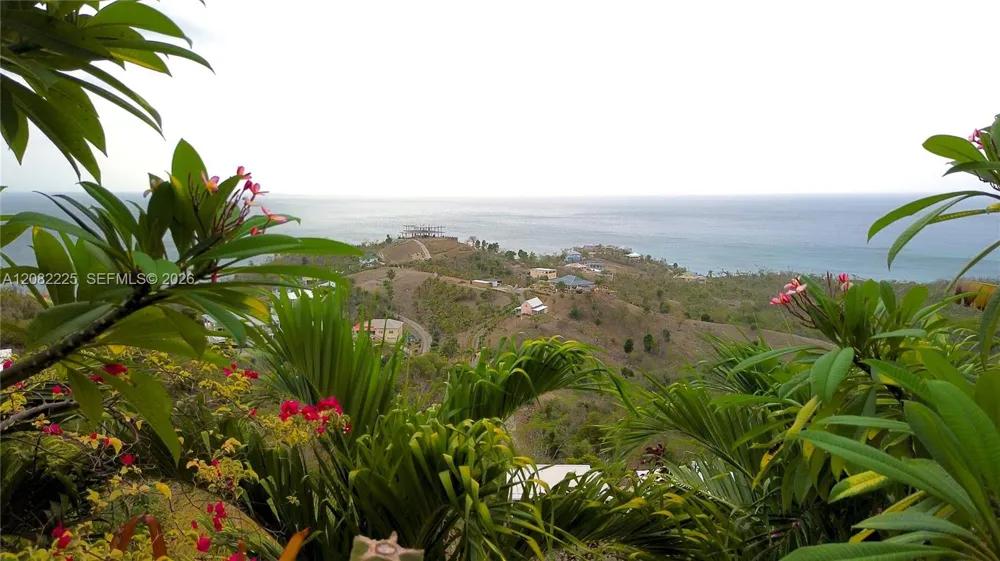 Anse La Roche, Carriacou 