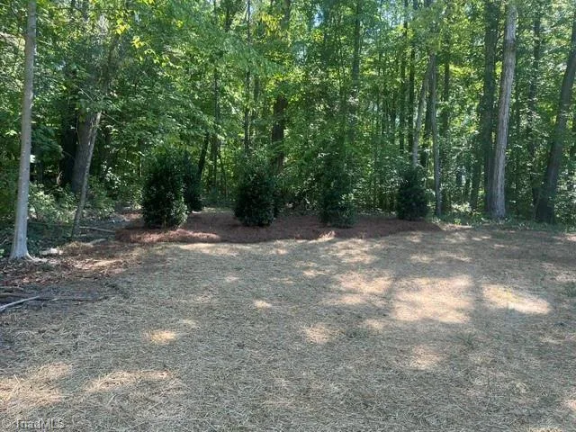 814 Montrachet Court Lewisville, NC 27023