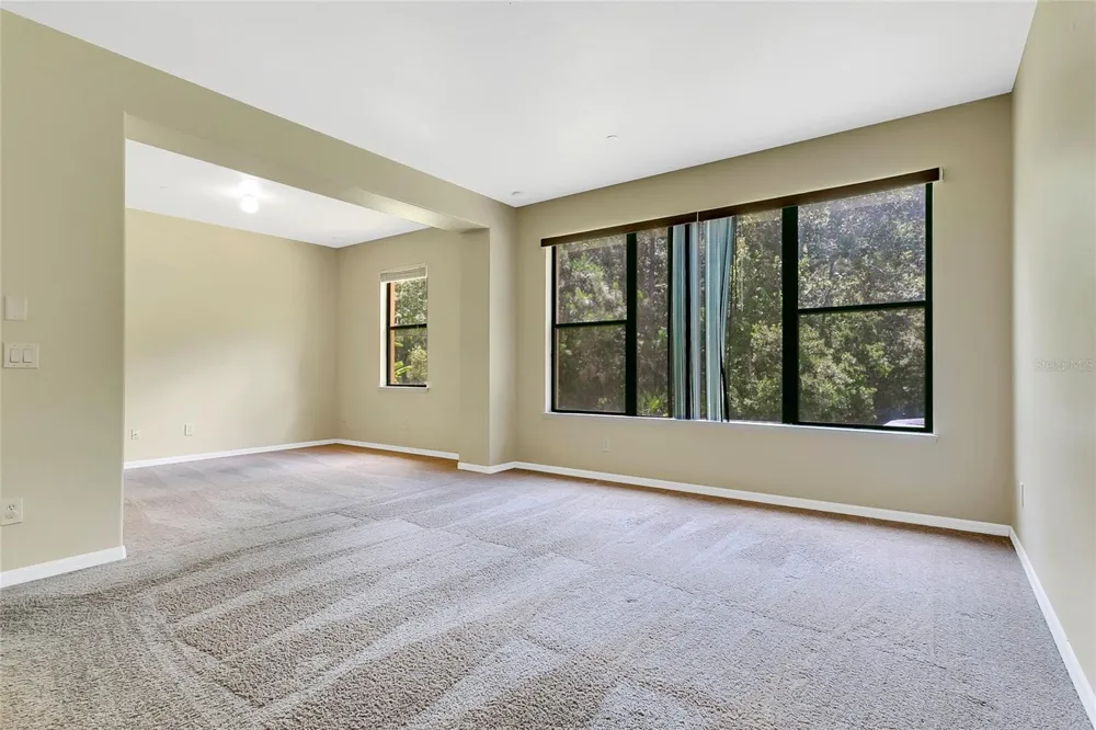 10102 CAROLINE PARK DRIVE Orlando, FL 32832