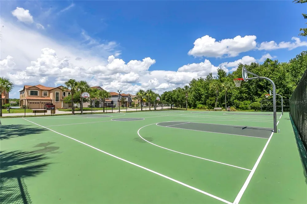 10102 CAROLINE PARK DRIVE Orlando, FL 32832