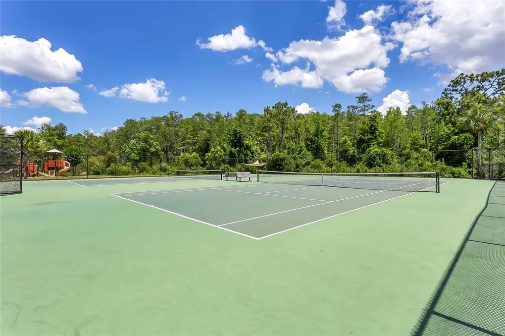 10102 CAROLINE PARK DRIVE Orlando, FL 32832