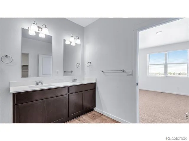5625 Gelbray Place Windsor, CO 80528