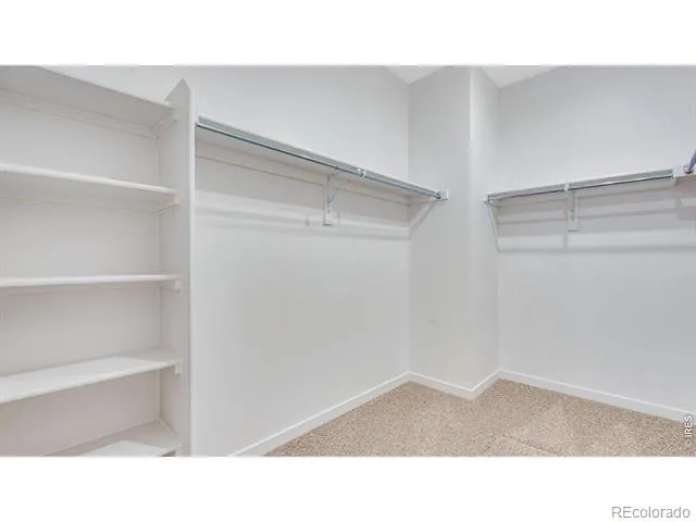 5625 Gelbray Place Windsor, CO 80528