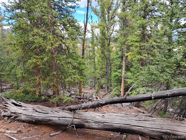 1844 High Creek Road Fairplay, CO 80440