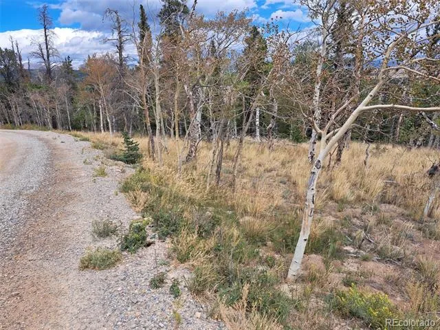 1844 High Creek Road Fairplay, CO 80440