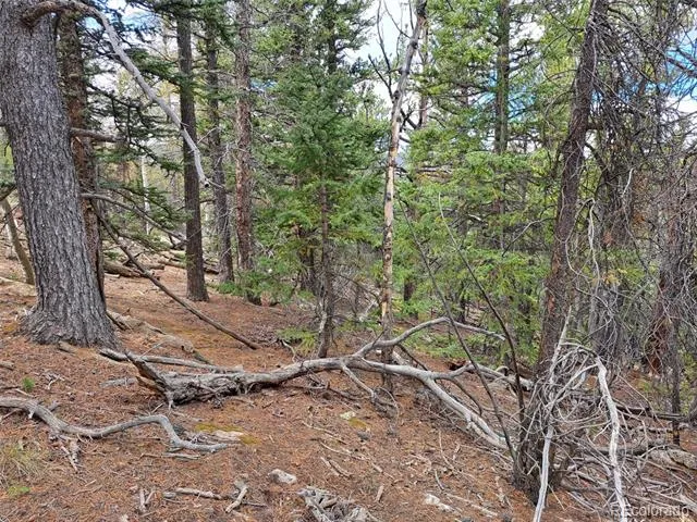 1844 High Creek Road Fairplay, CO 80440
